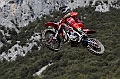 ROB_2437 (Copy)